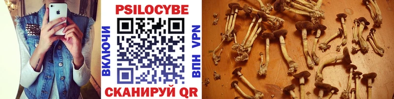 KRAKEN ссылка  Вилючинск  Галлюциногенные грибы Psilocybine cubensis 